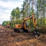 Excavator,Grapple,During,Clearing,Forest,For,New,Development.,Tracked,Backhoe