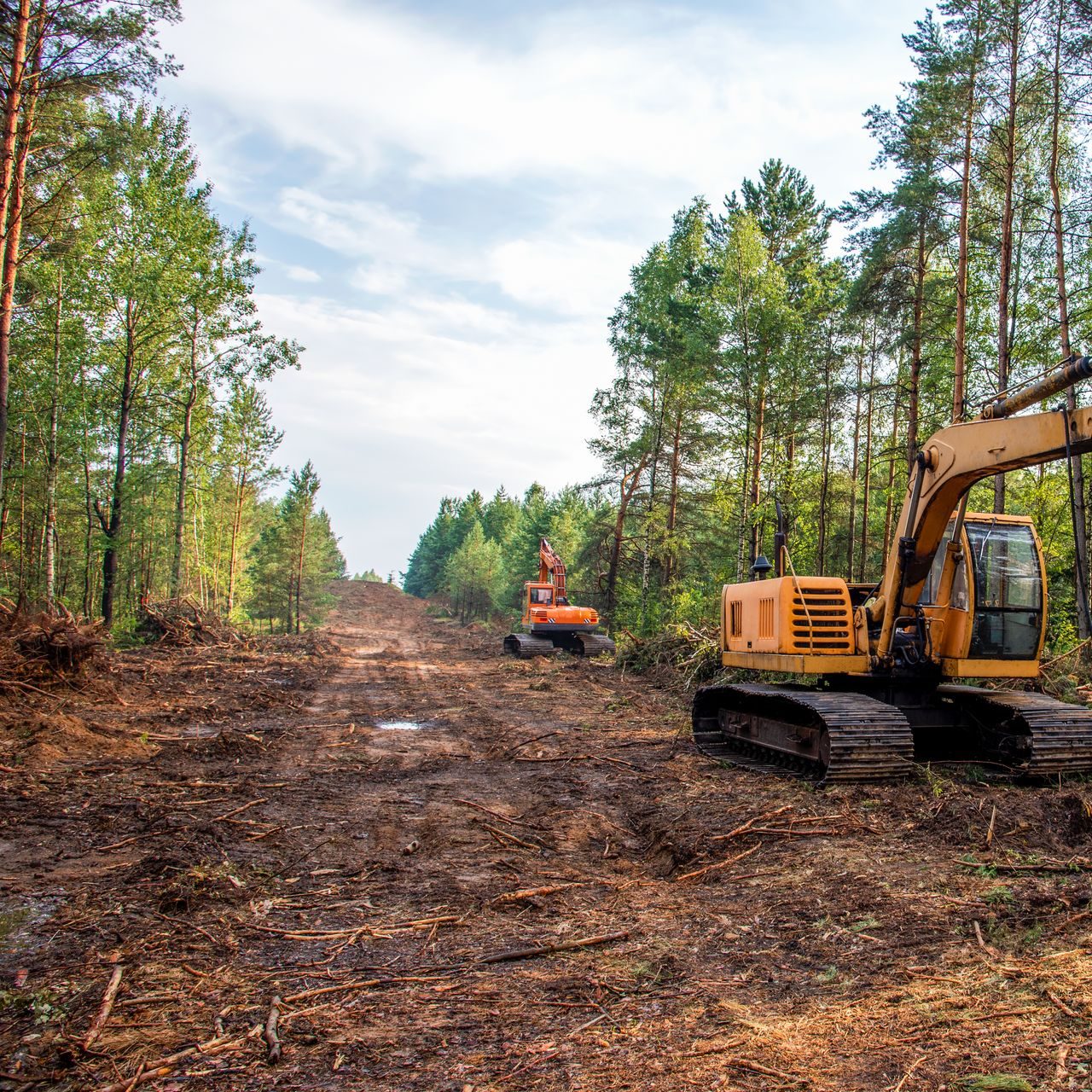 Excavator,Grapple,During,Clearing,Forest,For,New,Development.,Tracked,Backhoe